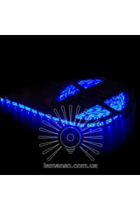 Св/стрічка 5м 12V 5W IP65 синя LM589 LEMANSO Св/стрічка 5м 12V 5W IP65 синя LM589 LEMANSO
