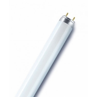 Лампа  OSRAM T8 120см L 36W/76 люмінесцентна  (м'ясна)